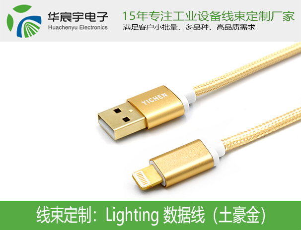 Lighting 數(shù)據(jù)線